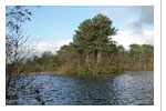 Cuerden Valley Park