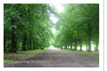 Haslam Park